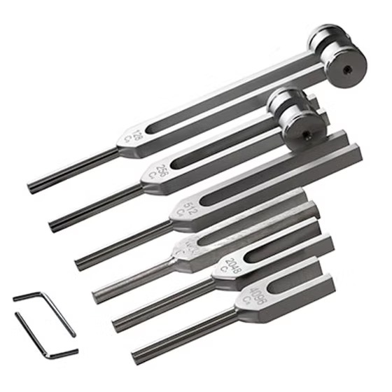 Baseline Diyapozon Seti 6 parçalı, Koruyucu taşıma çantalı (128, 256, 512, 1024,