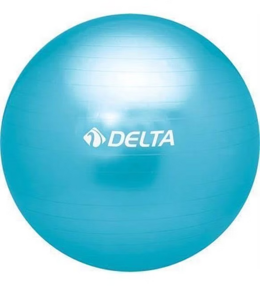 Delta 65 cm Pilates Topu Mor ( pompasız )